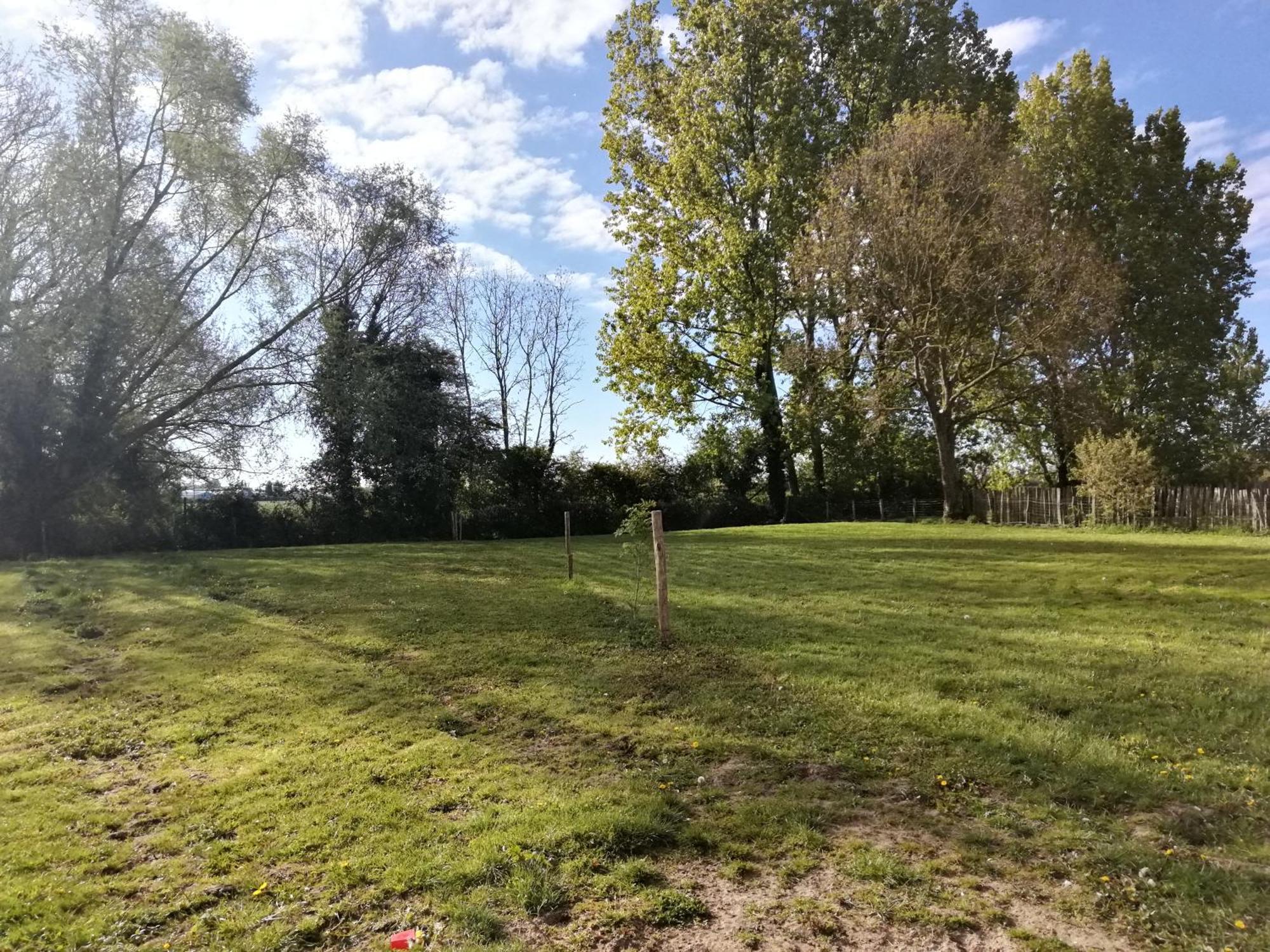 Foret De Nieppe Merville  Exterior photo